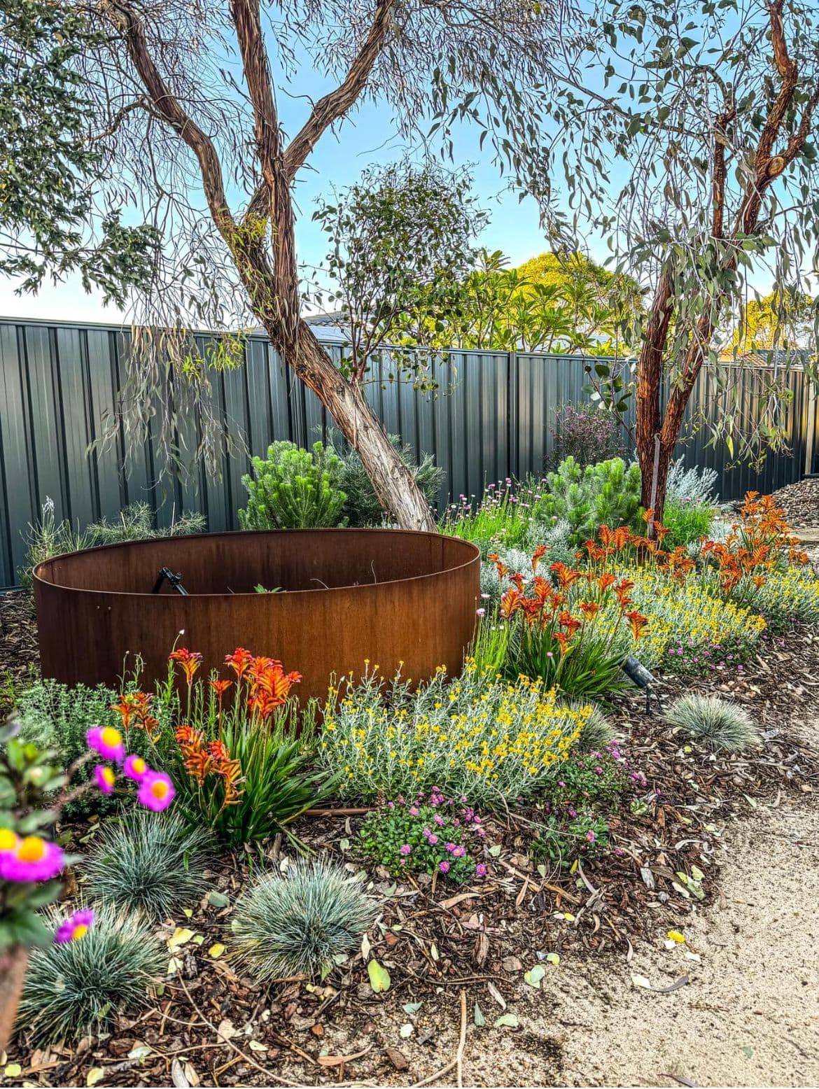 Container Plants Flowering & Ornamental collection at Evergreen Growers